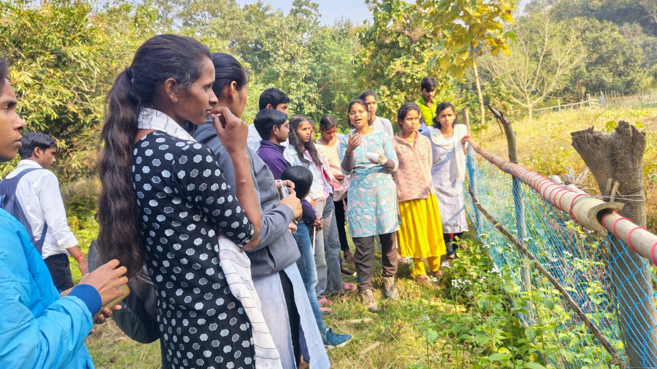 ग्रीन एजुकेटर फेलोशिप